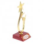 Кубок «Победитель по жизни», наградная фигура, люди со звездой, пластик