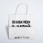 Пакет подарочный, упаковка, «Позови меня», 22 х 22 х 11 см