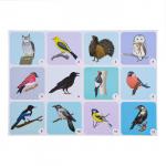 Набор плакатов "Дикие и домашние животные и птицы"  с методическими рекомендациями, 4 плакат 1047263