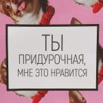 Пакет подарочный, упаковка, «Киса», 22 х 22 х 11 см