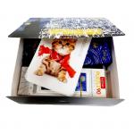 15050 Кошки в искусстве | Подарочный набор Винсент ван Гог и кошки, р-р носков 36-40