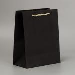 Пакет подарочный, упаковка, «Поздравляю», чёрный крафт, 18 х 23 х 10 см