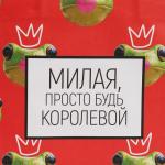 Пакет подарочный, упаковка, «Королева», 22 х 22 х 11 см