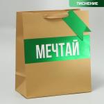 Пакет подарочный, упаковка, «Мечтай», ML 23 х 27 х 11.5 см