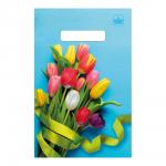Пакет (выруб.ручка) «Тюльпаны на голубом» (20х30х30мк) Т, 100шт