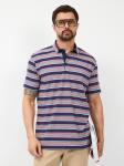 Джемпер мужской с воротником поло короткий рукав GREG G144-KD1246T-HS050 (сине-кр. полоска)