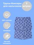 440220 Трусы-боксеры / 2шт в упаковке / арт.Б05Л цв. голубой