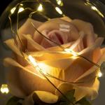 Ночник колба "Розовая роза" LED 3AAA 8х8х17 см RISALUX