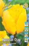 ТЮЛЬПАНЫ БАХРОМЧАТЫЕ