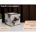 Короб стеллажный для хранения Доляна «Астра», 25_25_25 см