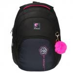 Рюкзак молодёжный, 42 х 31 х 13 см, эргономичная спинка, Stavia "Лапка", чёрный