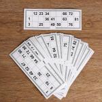 Карточки игровые для лото,  карточка 22 х 8 см, набор 24 шт