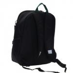 Рюкзак школьный Grizzly "Дино", 38 х 29 х 17.5 см, эргономичная спинка, чёрный/зелёный