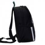 Рюкзак школьный Grizzly "Дино", 38 х 29 х 17.5 см, эргономичная спинка, чёрный/зелёный