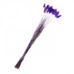 Сухоцветы «Лагурус», набор 30 шт., цвет фиолетовый