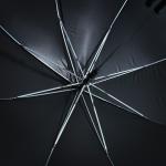 Зонт женский трость «NO RAIN - NO FLOWERS», 8 спиц, d = 90 см, цвет чёрный