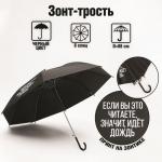 Зонт женский трость "Если вы это читаете, идёт дождь", 8 спиц, d = 91 см, цвет чёрный