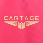 Термосумка Cartage Т-23, розовый, 18 л, 35х21х24 см