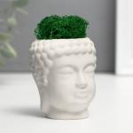 Кашпо бетонное "Будда" со мхом 7*6 см белый (мох зеленый стабилизированный)