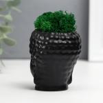 Кашпо бетонное "Будда" со мхом 7*6 см черный (мох зеленый стабилизированный)
