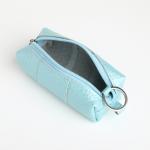 Ключница карманная на молнии, TEXTURA, длина 12,5 см, кольцо, цвет голубой