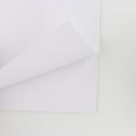 Альбом для рисования А4 24 листа  на скрепке «1 сентября:Розовый Единорог»  ВД-лак