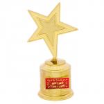 Кубок наградная фигура: звезда «За яркий креатив» золото, пластик, 16,5 х 6,3 см.