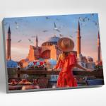 Картина по номерам «Стамбул. Айя-софия», 40 * 50 см, 25 цветов