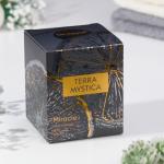 Ароматическая свеча "Breesal, TERRA MYSTICA", Апельсин, Груша, Ягоды