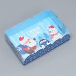 Коробка подарочная с PVC крышкой «С Новым годом!», снеговик, 20 х 30 х 8 см, Новый год