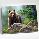Картина по номерам «Сибирский бурый медведь», 40 * 50 см, 20 цветов