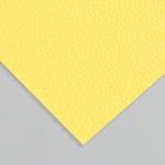 Лист для творчества иск.кожа "Рисунок Личи" жёлтый лист 33х20 см толщина 1 мм