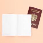 Обложка на паспорт «Почему я люблю вино больше», ПВХ