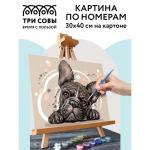 Картина по номерам на картоне «Французский бульдог», 30 * 40 см, с акриловыми красками и кистями