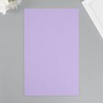 Лист для творчества иск.кожа "Рисунок Личи" сиреневый лист 33х20 см толщина 0,7 мм