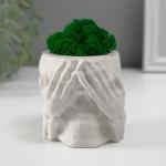 Кашпо бетонное "Череп Прятки" со мхом 7х10 см белый (мох зеленый стабилизированный)