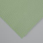 Лист для творчества иск.кожа "Рисунок Личи" светло-зелёный лист 33х20 см толщина 1 мм