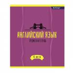 Тетрадь предметная "Английский язык" А5 48л., со справочным материалом, скрепка, мелованный картон (стандарт), блок офсет, Alingar "Простое решение"