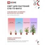 Фитосветильник светодиодный IN HOME, 20 Вт, 230 B, 1170 мм, СПБ-Т5-ФИТО