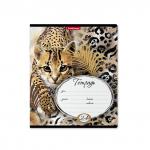 Тетрадь школьная ученическая ErichKrause Wild Cat, 24 листа, клетка (в плёнке по 10 шт.)
