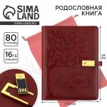 Родословная книга со встроенной флешкой 16 Gb «Книга всей семьи», 17,5 х 23 см.