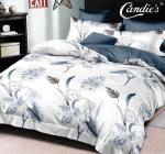 КПБ Candie's Cotton AB CANC058