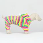 Комбинезон "Радуга" с капюшоном, размер 2XL (ДС 45 см, ОШ 45 см, ОГ 55 см)