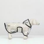 Дождевик для собак, размер S  (ДС 22, ОГ 35-38, ОШ 36 см), чёрный