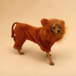 Комбинезон для животных "Лев", размер M (ДС 30, ОГ 40, ОШ 28 см),коричневый