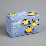 Гирлянда «Бахрома» 1.8 ? 0.5 м, IP20, тёмная нить, 48 LED, свечение мульти, 8 режимов, 220 В