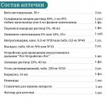 Аптечка для оказания первой помощи работникам «ФЭСТ», мягкий футляр, зелёная