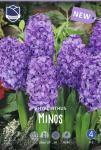 Гиацинт Минос (Hyacinthus Minos), 5 шт (разбор 16/17)