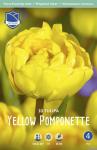 Тюльпан Йеллоу Помпонет (Tulipa Yellow Pomponnet), 10 шт (разбор 12/14)