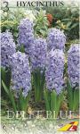 Гиацинт Дельфтс Блю (Hyacinthus Delfts Blauw), 3 шт (разбор 14/15)